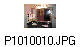 P1010010.JPG