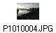 P1010004.JPG