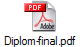 Diplom-final.pdf