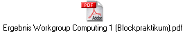 Ergebnis Workgroup Computing 1 (Blockpraktikum).pdf